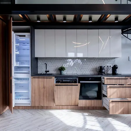 Frame Appartement Vilnius